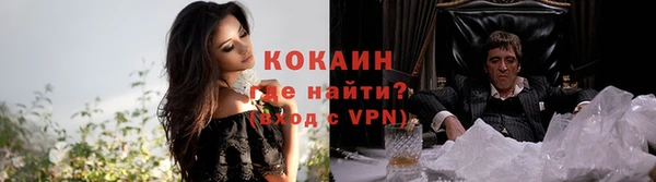 гашик Новозыбков
